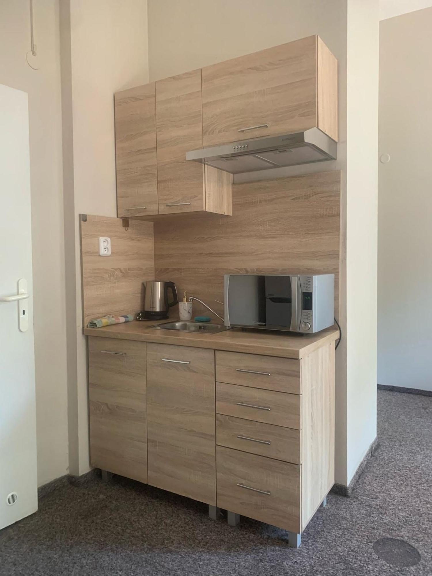 Thermal Apartments Teplice Room photo